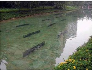 W020090729548837097306