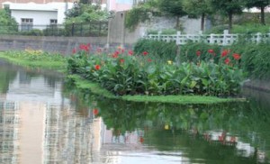 W020090729548837099236